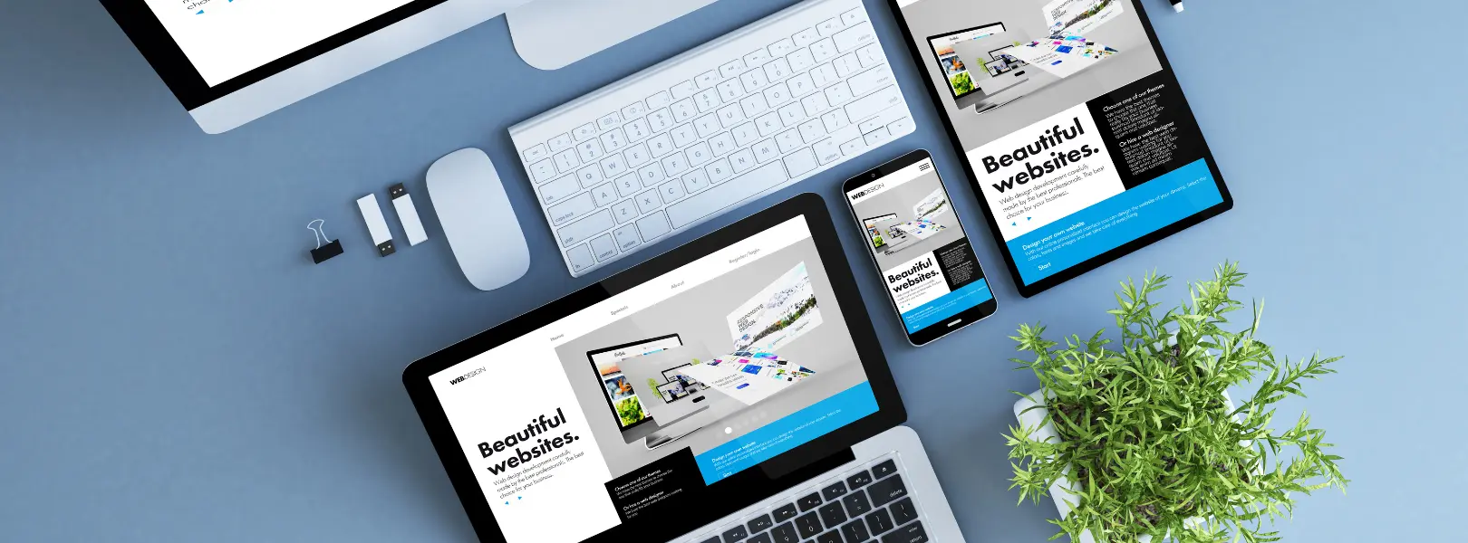 Build Web Apps with Bubble