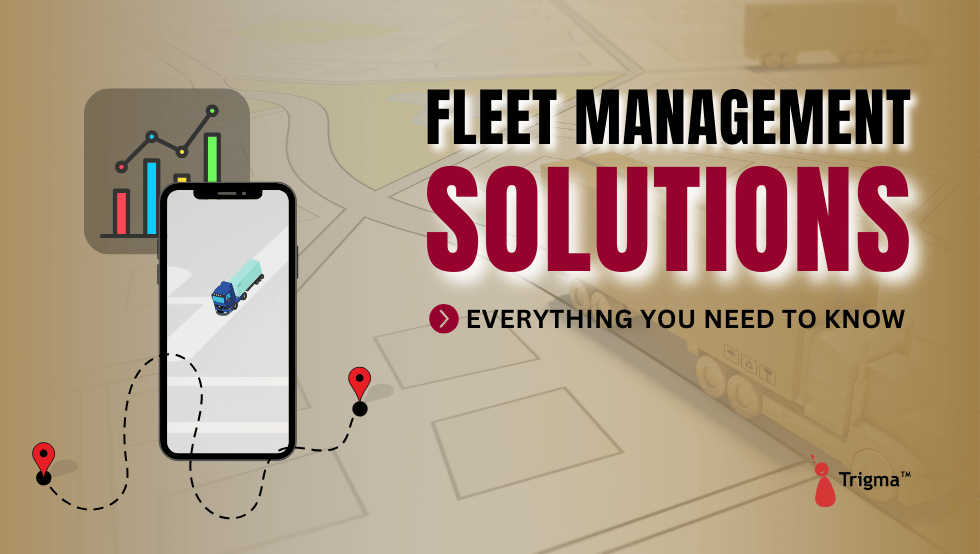 Fleet management software development