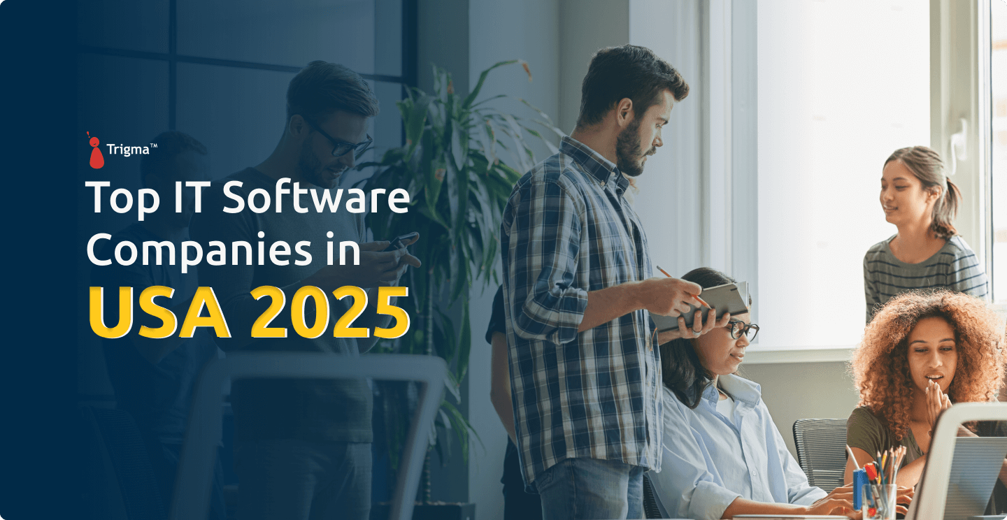 Top IT Software Companies in usa