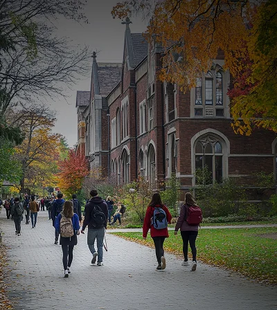  Custom Software Development 