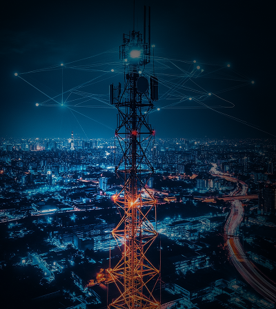  Custom Software Development 