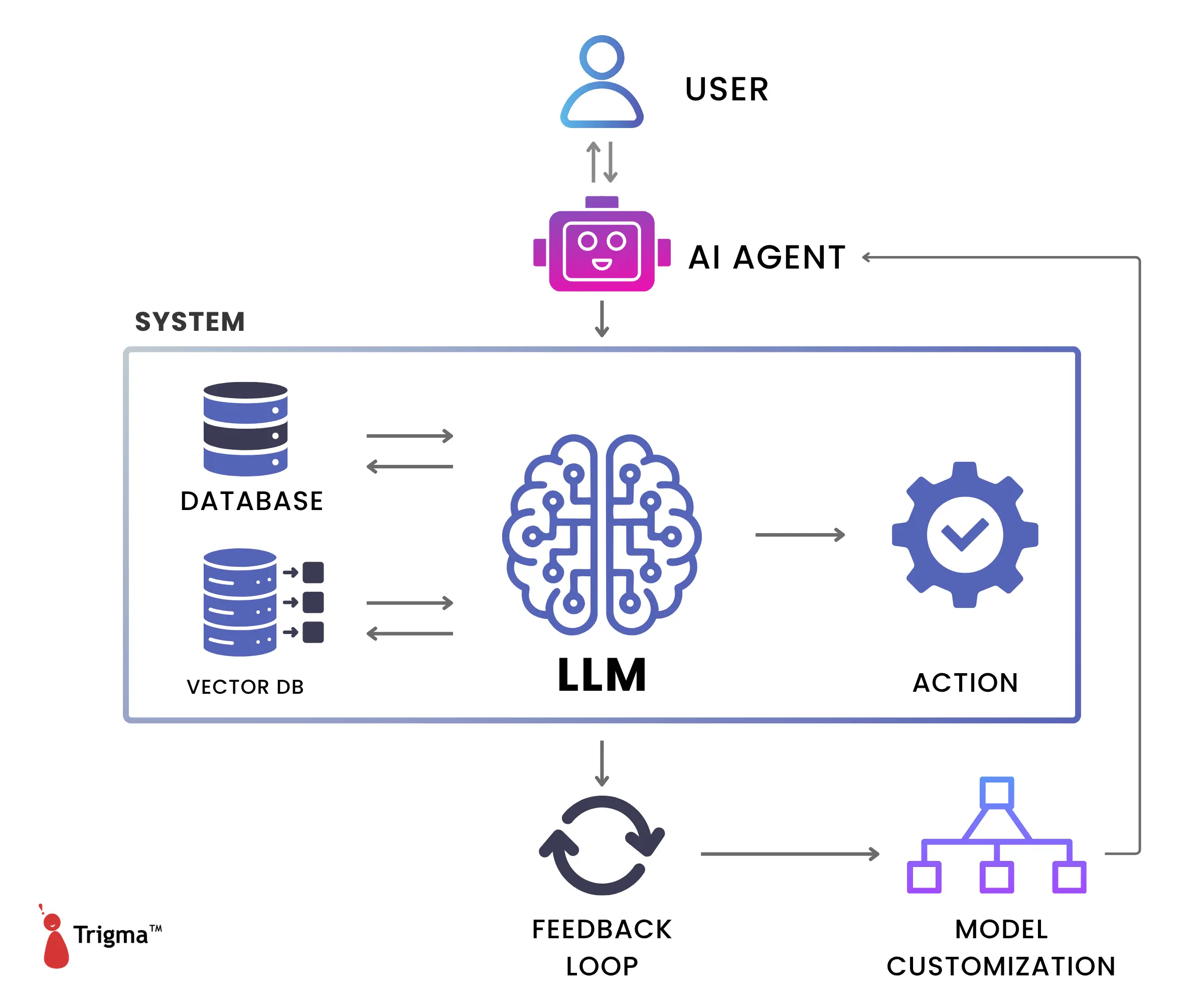 Agentic AI System Flow Diagram Agentic AI system flow diagram showing User interacting with AI Agent, connected to LLM with Database and Vector DB, triggering Action, with Feedback Loop improving Model Customization