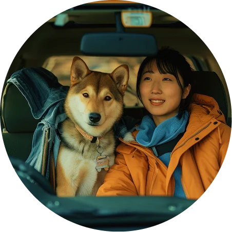 dog in car dog in car