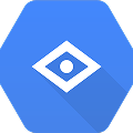 Google Vision AI logo
