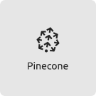 Pinecone-icon