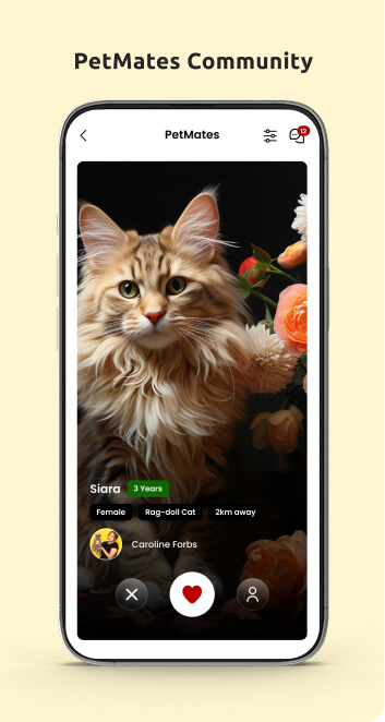 Pet-Care-Pet-Mates-Community